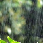 梅雨の旬の食べ物といえば?美味しいものは?レシピは?