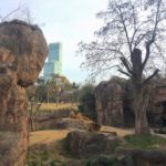 多摩動物公園と上野動物園どちらがおすすめ？動物数や休日の混雑を比較！
