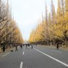 八王子いちょう祭りの駐車場！交通規制や通行止め情報も！